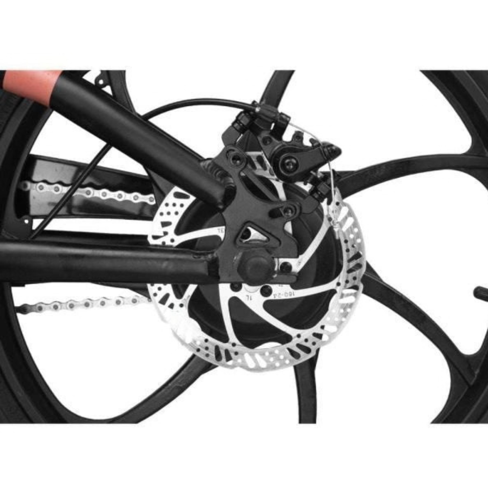 Rambo Kids 20 Trailbreaker 250W 24V Electric Bike