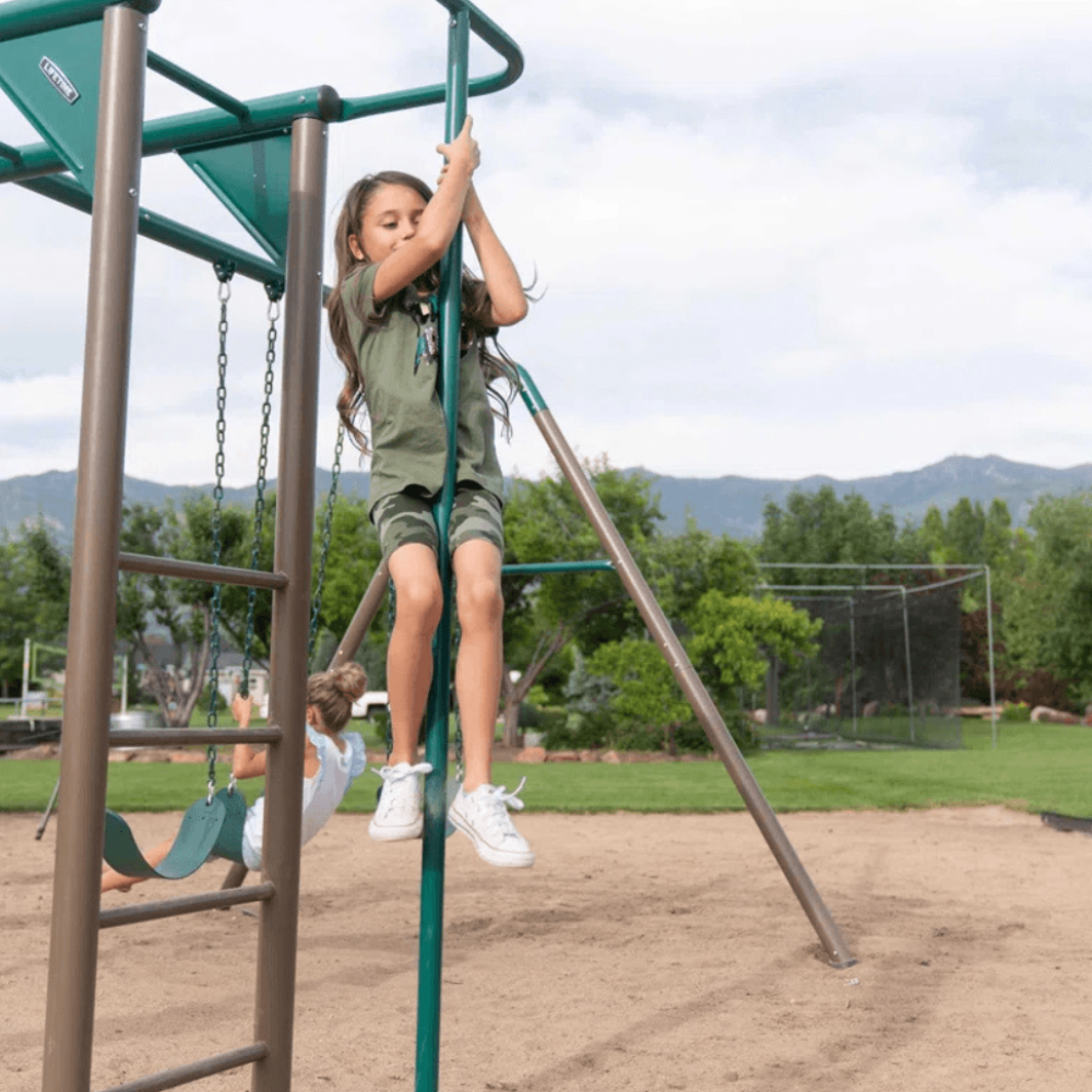 Lifetime Monkey Bar Adventure Steel Swing Set Playset
